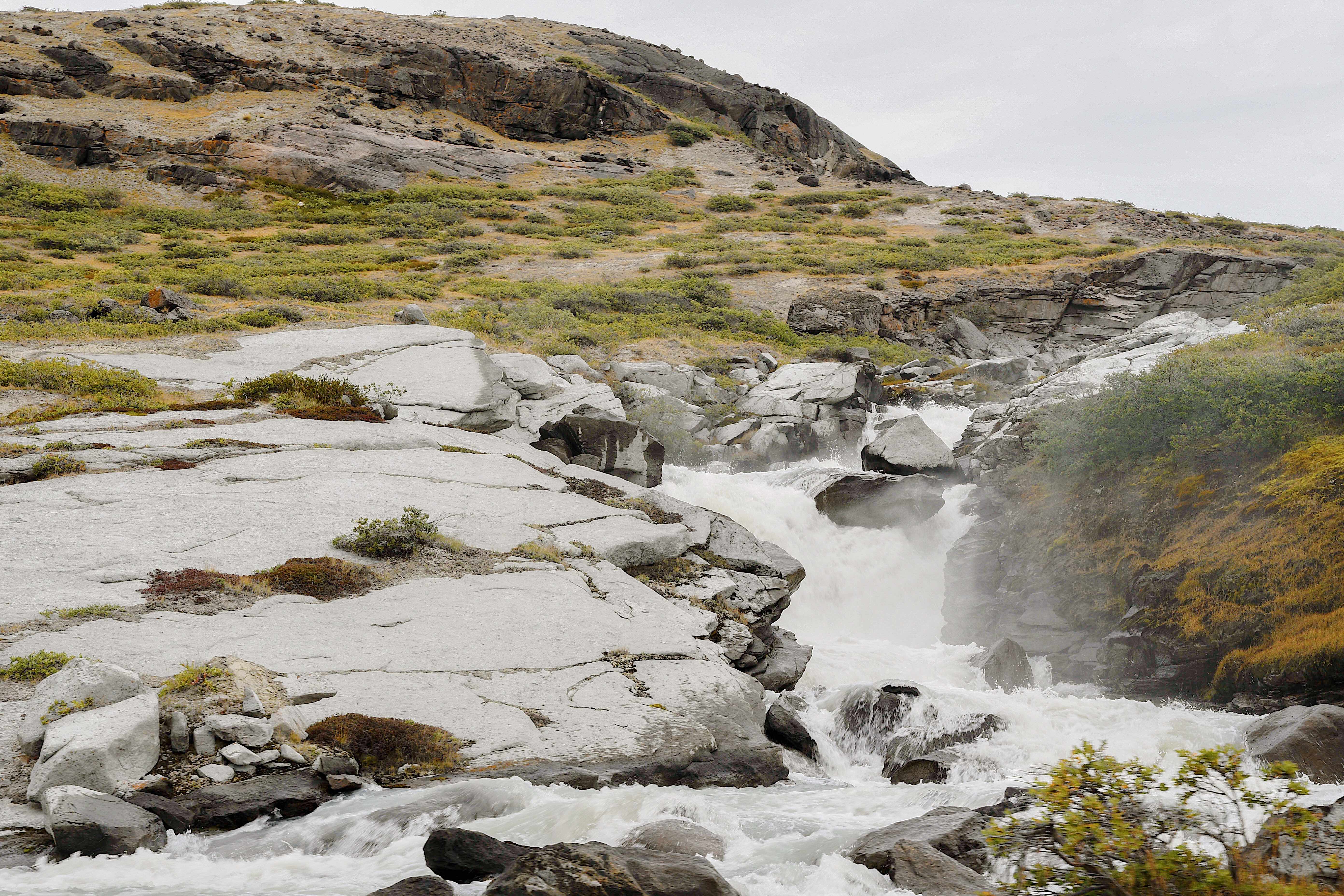 Lings Hunting Greenland landscape